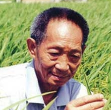 关于袁隆平的名人名言哲理格言警句语录 - 每日文摘